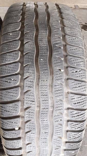 Nexen 225/45 R17 Sve sezone