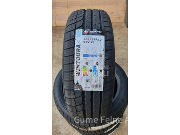 Davanti 205/55 R17 Zimska