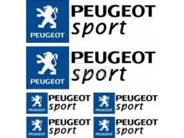 Dizne za Peugeot 407