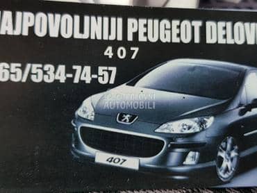 Krila,branici,haube za Peugeot 407 od 2004. do 2008. god.
