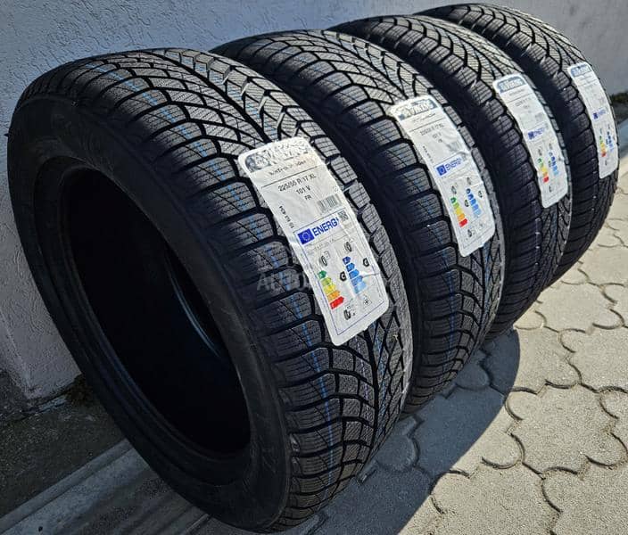 Viking 225/55 R17 Zimska