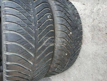 Goodyear 225/55 R17 Sve sezone