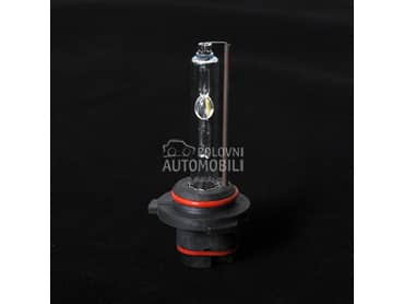 XENON SIJALICA BEAR HB3/9005  