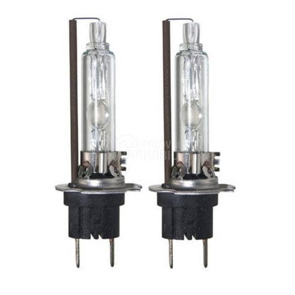 XENON SIJALICA BEAR H3