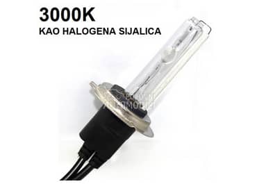 XENON SIJALICA BEAR H7  