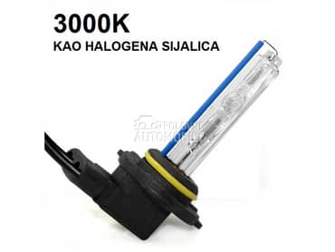 XENON SIJALICA BEAR H11  