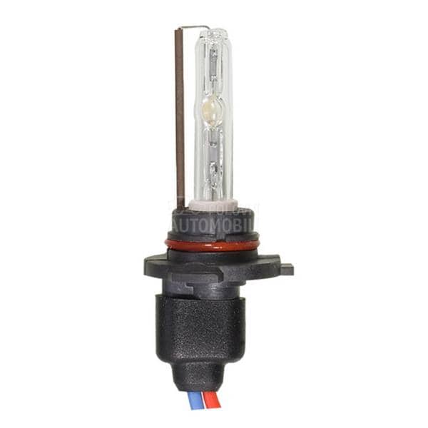 XENON SIJALICA BEAR HB3/9005