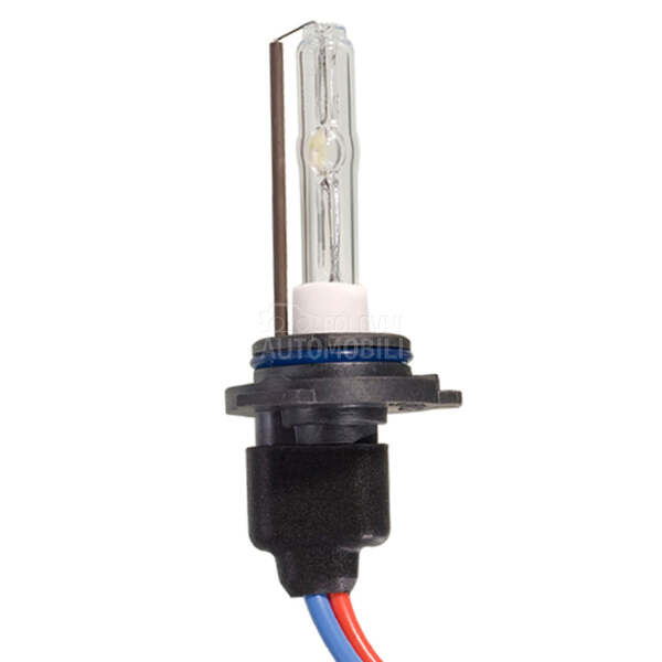 XENON SIJALICA BEAR HB4/9006