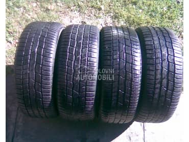 Continental 225/55 R17 Zimska