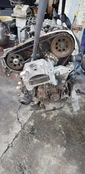 Motor 1.6 mjet