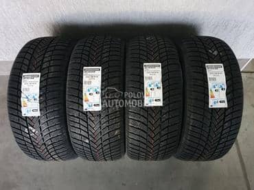 Bridgestone 255/50 R19 Zimska