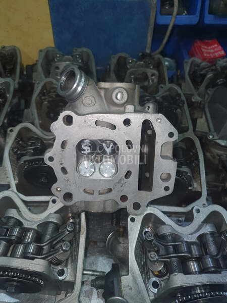 Glava Aprilia Leonardo rotax