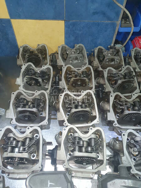 Glava Aprilia Leonardo rotax