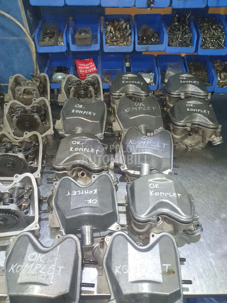 Glava Aprilia Leonardo rotax