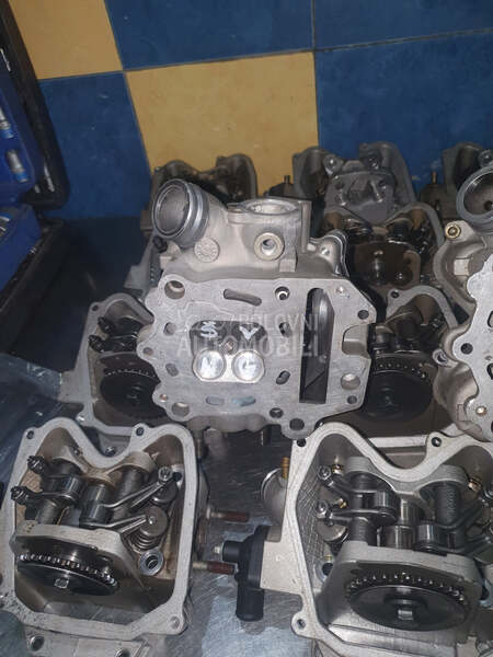 Glava Aprilia Leonardo rotax