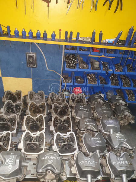 Glava Aprilia Leonardo rotax