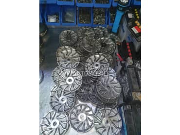 Remenica varijatora Leonardo