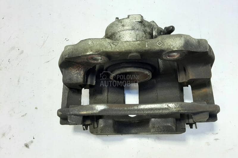 Kociona klesta / celjusti