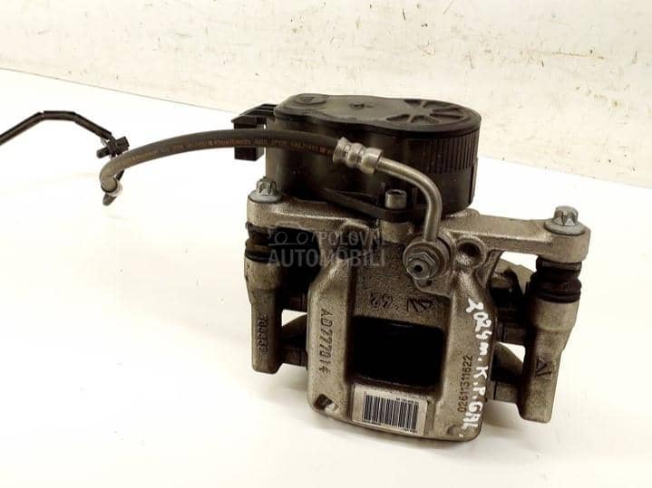 Kociona klesta / celjusti