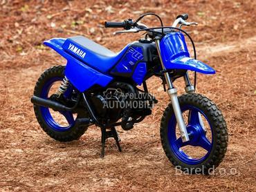 Yamaha PW50