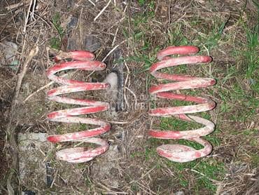 Opruge zadnje za Volkswagen Passat B5.5 od 2001. do 2005. god.