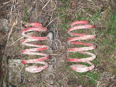 Opruge zadnje za Volkswagen Passat B5.5