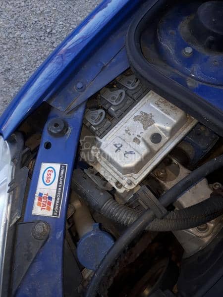 kosevi prednji ili zadnji