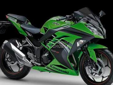 Kawasaki ZX 300 14