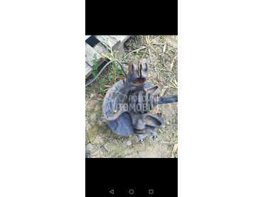 rukavac za Volkswagen Golf 7