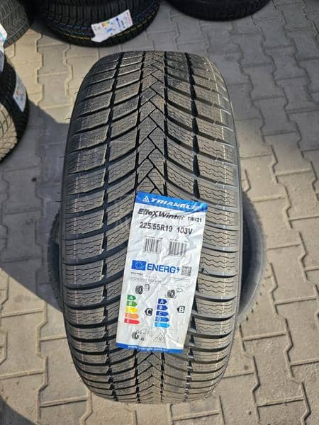 Triangle 225/45 R19 Zimska