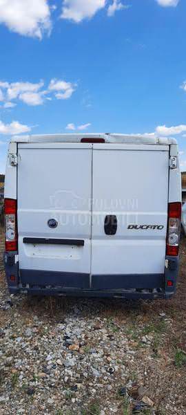 Ducato zadnja desna vrata H2