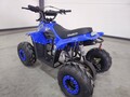 Ellite Moto ATV 110 AKCIJA