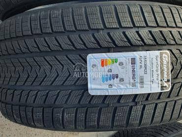 Gripmax 315/30 R22 Zimska