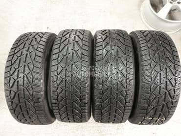 Riken 225/45 R17 Zimska