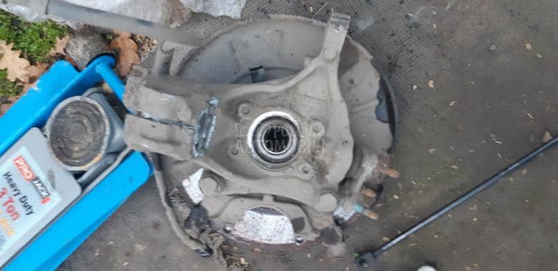 kociona kljesta prednja