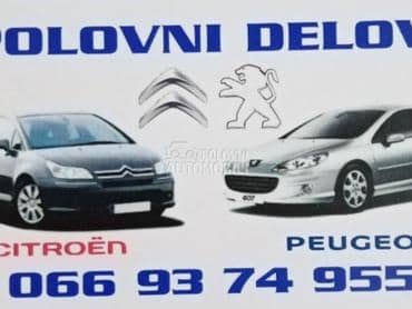 servo pumpa za Peugeot 407