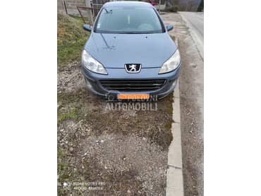branici za Peugeot 407