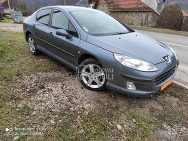 Retrovizori za Peugeot 407