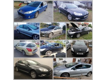 komplet automobili u delovima za Peugeot 407 od 2004. do 2017. god.
