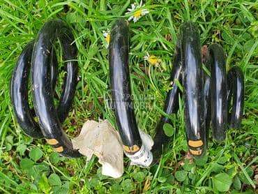 opruga za BMW 315, 316, 318 ...