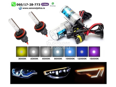 Xenon sijalica dc h11 6000k ksenon  