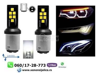 P21/5 led sijalice bele kan bus  