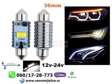 C5w sulfidne led sijalice 36mm kan bus bele  