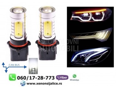 P13 led sijalice bele kan bus  