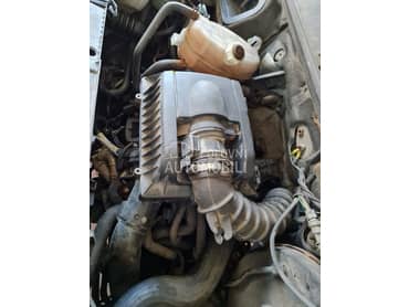 Interkuler reno master