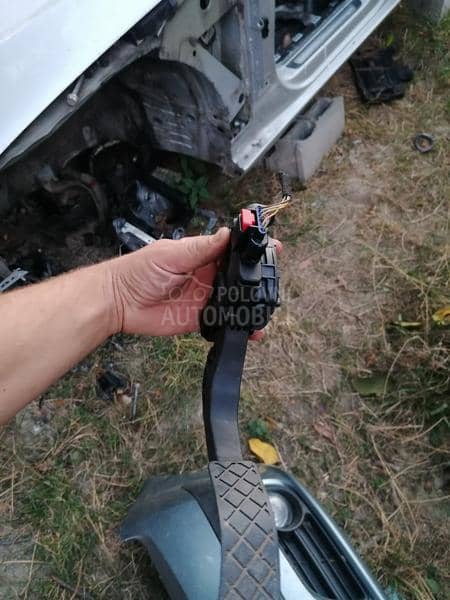 Papučica gasa