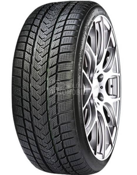 Gripmax 285/35 R21 Zimska