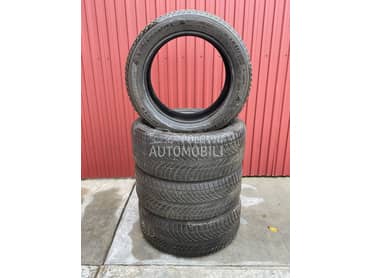 Michelin 255/50 R19 Zimska