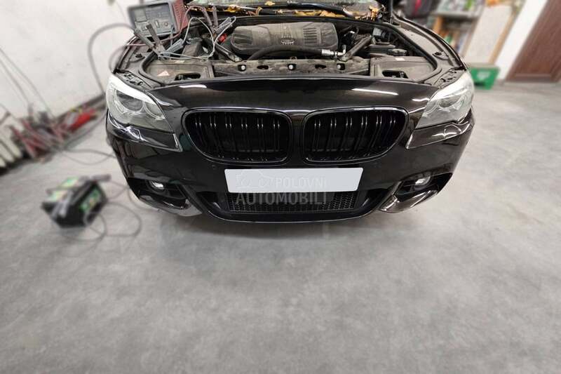 F10 F11 M maska bubrezi