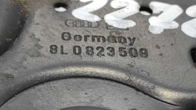 BRAVA HAUBE